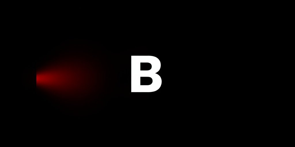 莉莉影视合作伙伴博纳影业Logo
