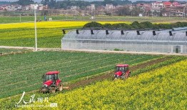 1024国产基地在线,探索中国科技产业的创新与发展