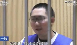 91秦先生国产,国产生态下的创新与突破