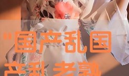 国产乱老熟300部,揭秘中国影视行业独特现象