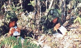 国产野战在线,在线战场风云再起