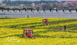 1024国产基地在线,探索中国科技产业的创新与发展