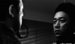 好看的国产视频,国产佳作映照时代风采