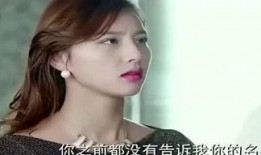 国产阿姨在线,揭秘中国家庭服务业的崛起与魅力